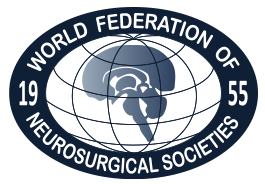 WFNS Logo